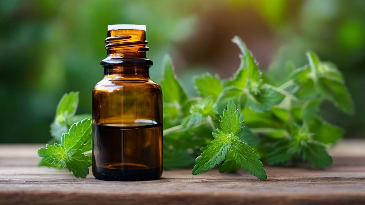 Organic Catnip Extract