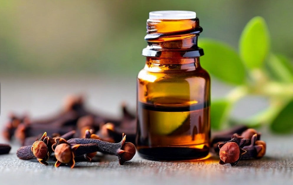 Clove Extract
