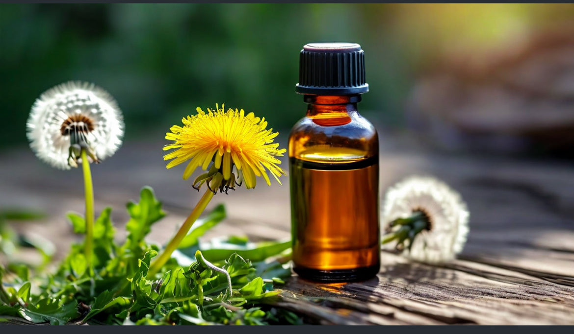 Dandelion Leaf and Root with Honey Extract 2oz Bottle