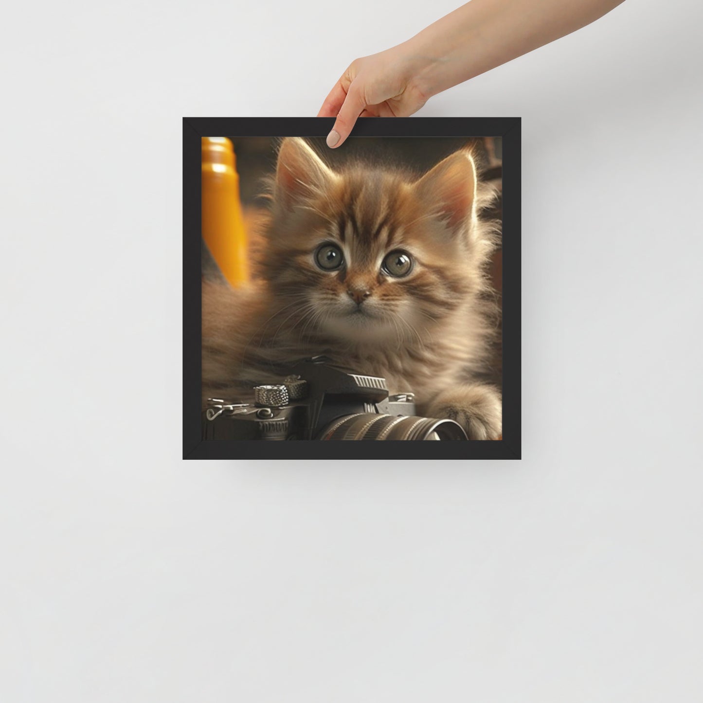 Tigger, Kitten Framed poster