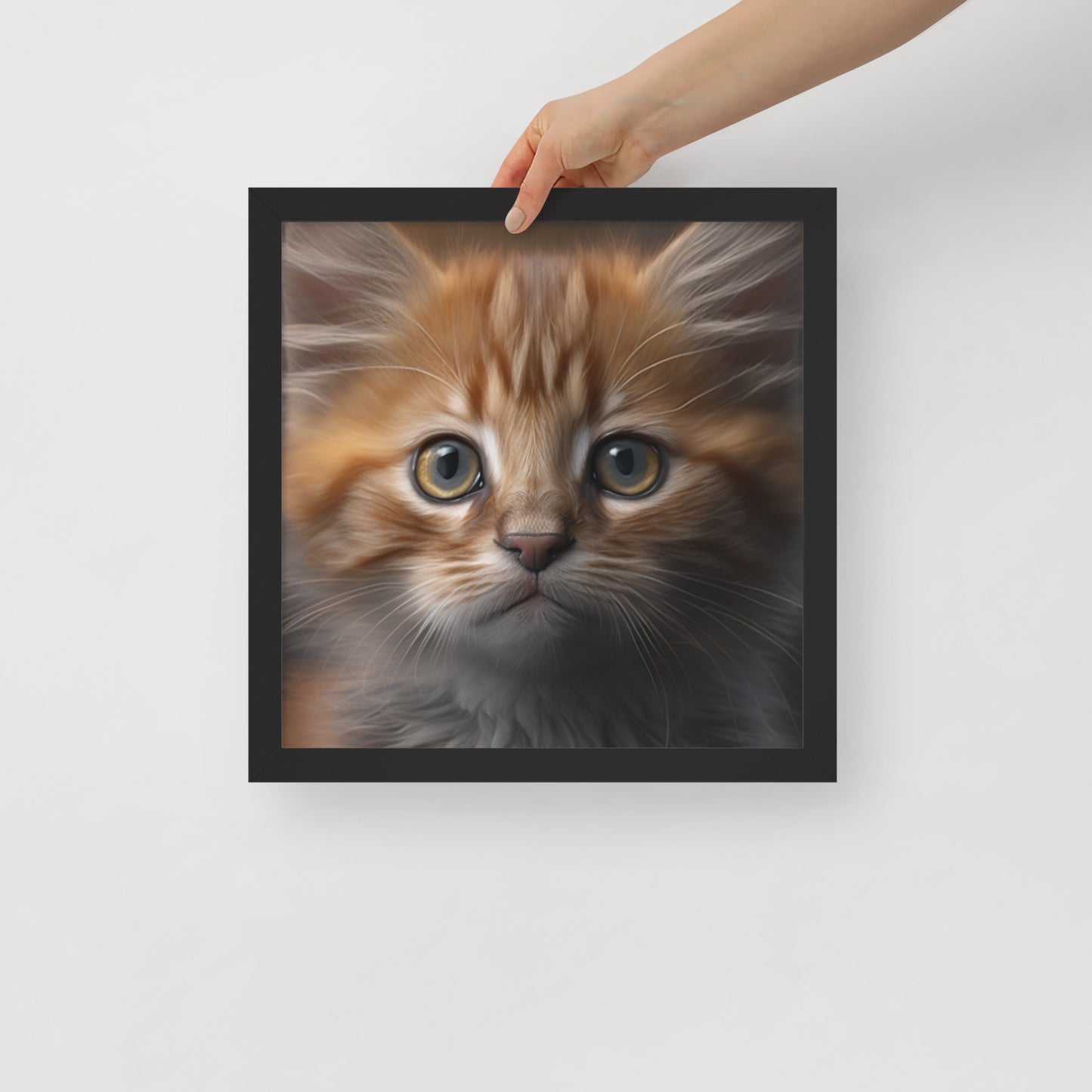 Luna, Kitten Framed poster