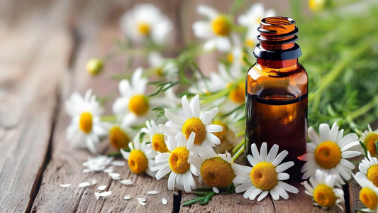 Chamomile Extract