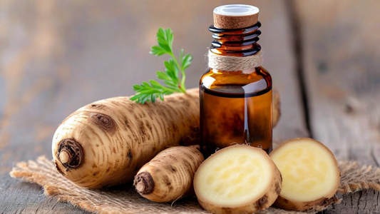 Yam Root Extract 2oz Bottle