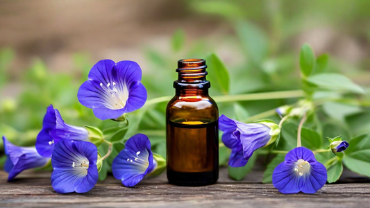 American Skullcap Extract 2oz Bottle