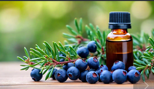 Juniper Berry Extract 2oz Bottle