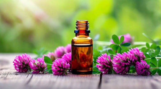 Red Clover Extract