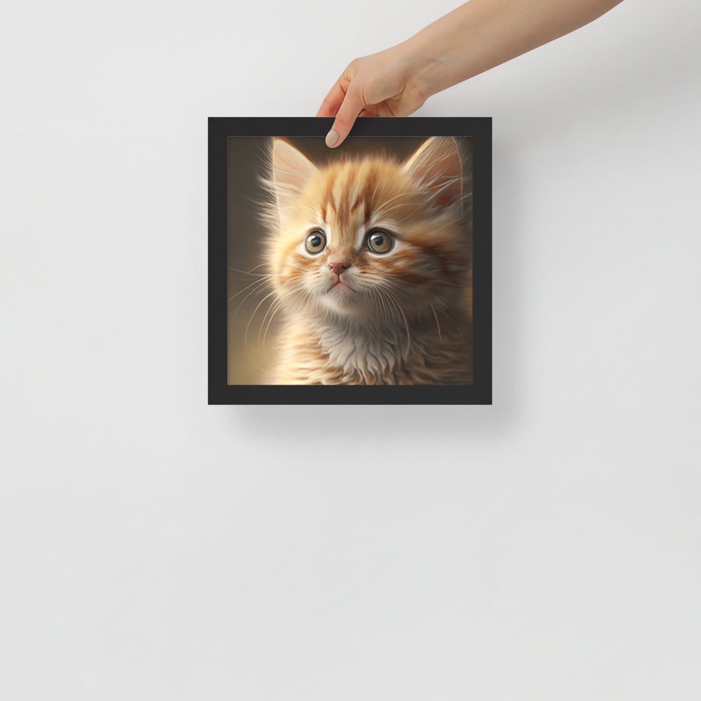 Bella, Kitten Framed poster