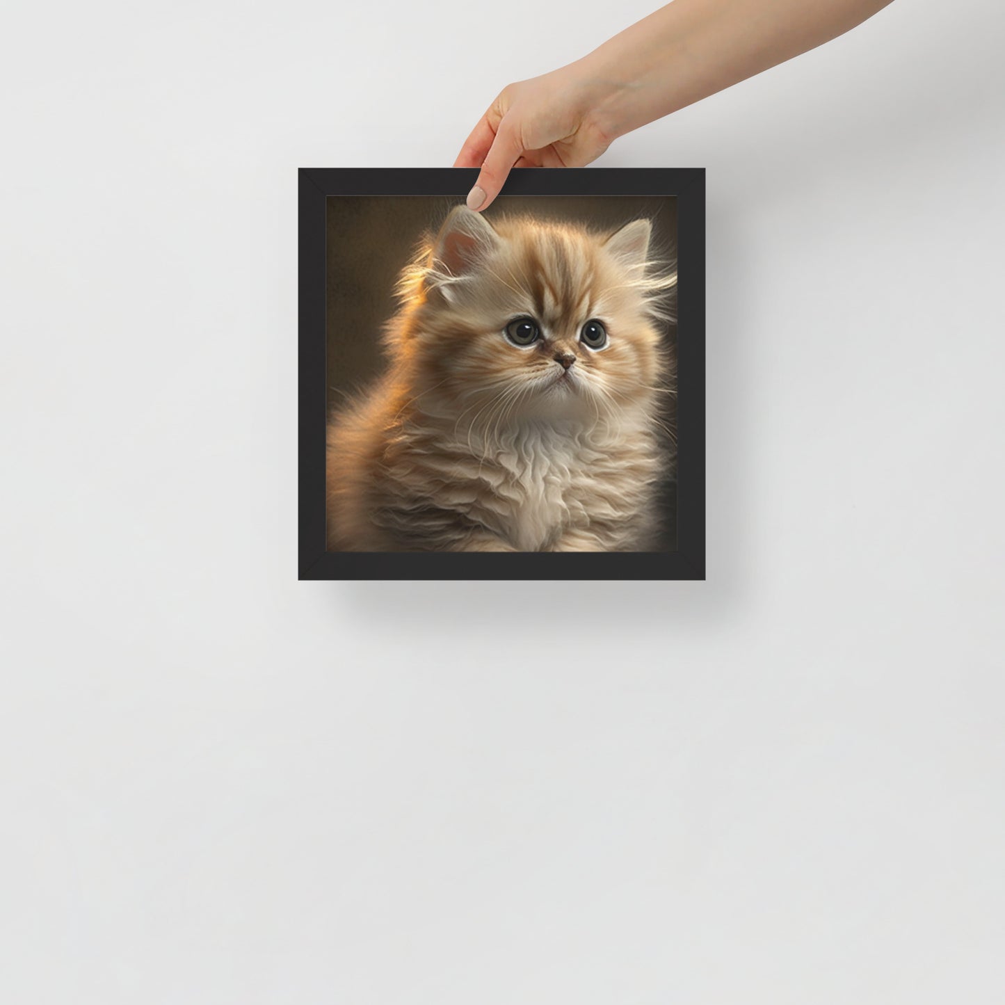 Fluffy, Kitten Framed poster