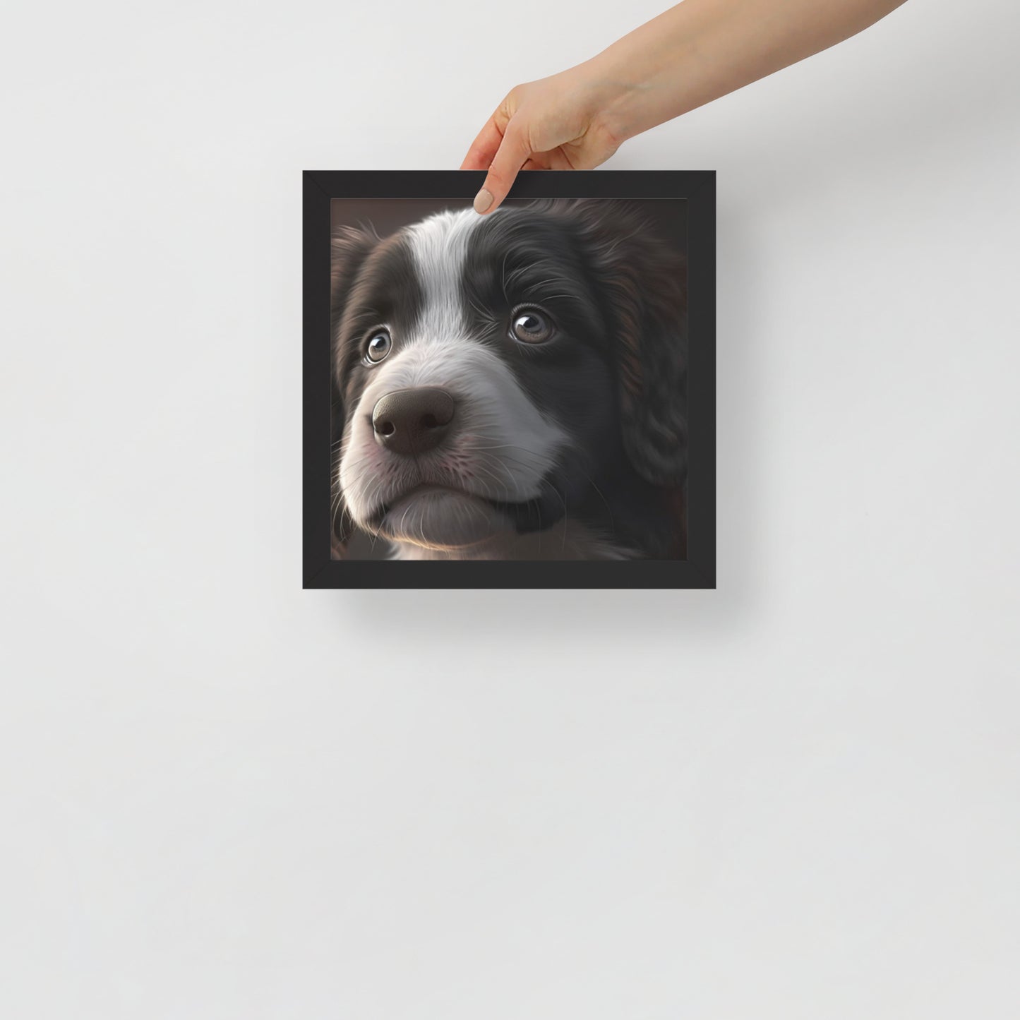 Max, Puppy Framed poster