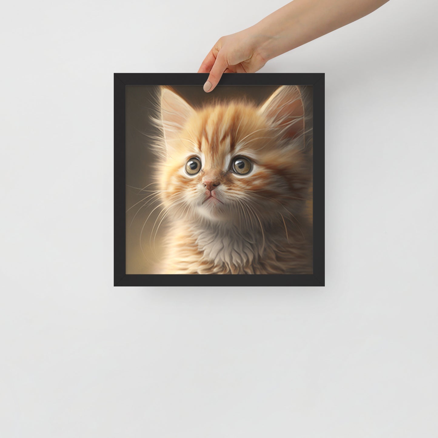 Bella, Kitten Framed poster