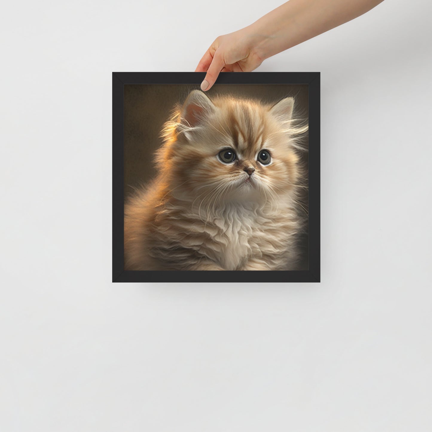 Fluffy, Kitten Framed poster