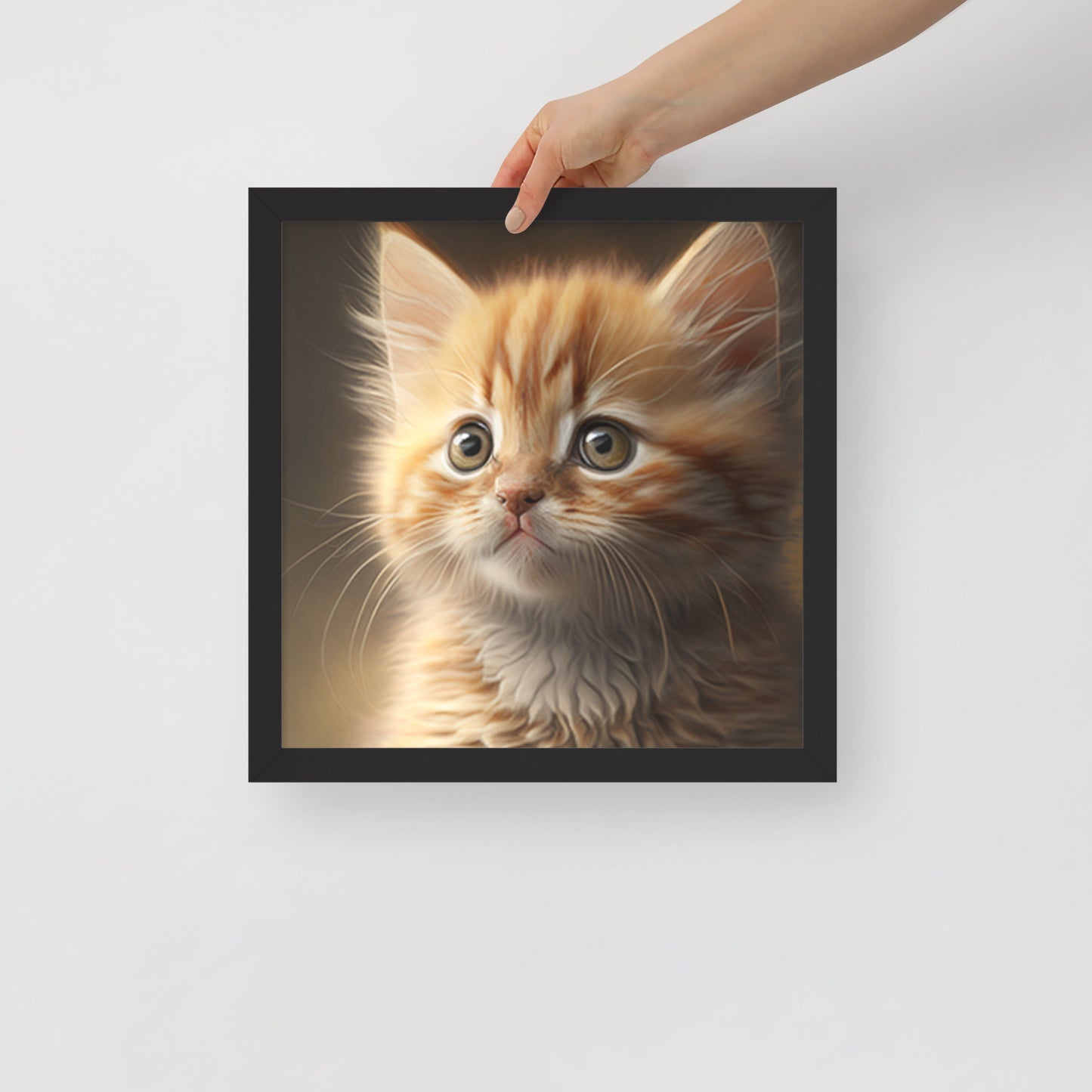 Bella, Kitten Framed poster