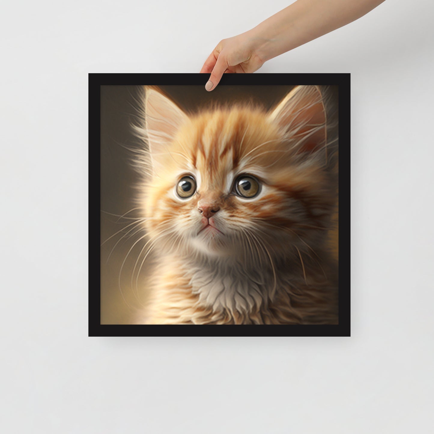 Bella, Kitten Framed poster